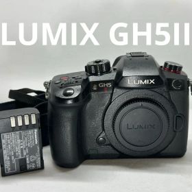 難ありお買い得品 LUMIX GH5II ボディ DC-GH5M2 値下げ