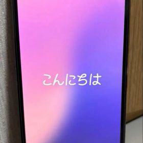 iPhone12pro グラファイト SIMフリー 256GB Apple