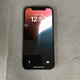 美品 Appleストア版 SIMフリー iPhone12 Pro 128GB