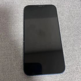 Apple iPhone 12 本体