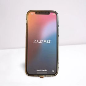 Apple iPhone 12 128GB ブラック SIMフリー
