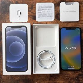 iPhone 12 64GB SIMフリー 利用制限○ FaceID正常 箱付き