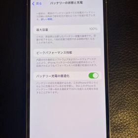 特価【美品】iPhone 13 Pro 128GB シルバー バッテリー100%