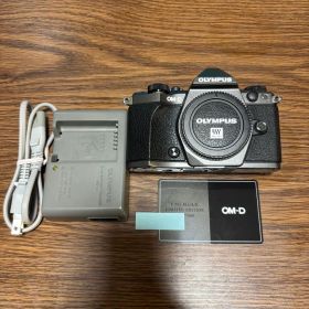 ショット数262回 OM-D E-M5 Mark II Limited