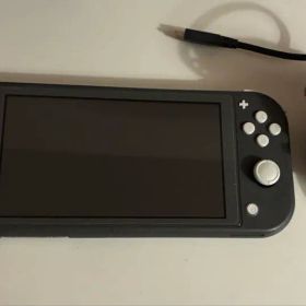 Nintendo Switch Lite 本体 グレー 充電器付き