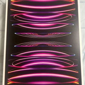 美品⭐︎Apple 12.9インチ iPad Pro 第6世代 256GB 本体