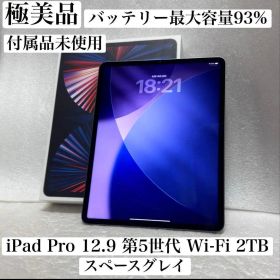 極美品 バッテリー最大容量93% iPad Pro 12.9 第5世代 2TB