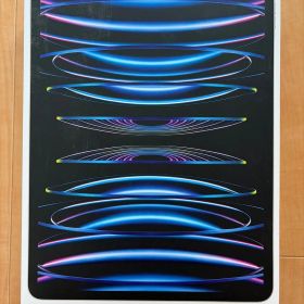 Apple SIMフリー 2022モデルApple12.9インチiPadPro 第6世代 256GB Wi-Fi+Cellular シルバー MP213J/A A2437
