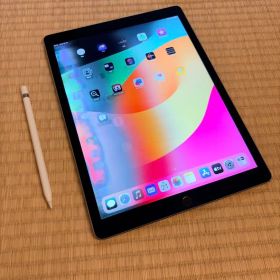 【米国版512G】iPad Pro 12.9 2世代 セルラー＆ペン【難有】