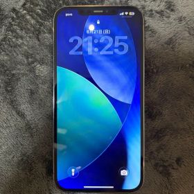 Apple iPhone 12 Pro Max 256GB 本体