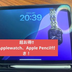 iPad Air 第4世代 本体 即日発送さん専用
