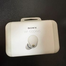 Sony WF-1000XM5