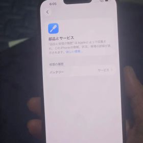 Apple iPhone 13 Pro Max 128GB 本体