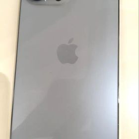 Apple iPhone 13 Pro Max 256GB 本体