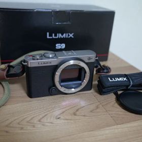 【最終値下げ・美品・頻度少】LUMIX S9 本体 (DC-S9)