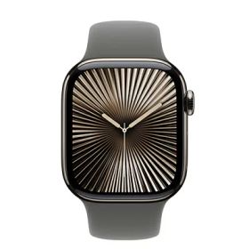 Apple Apple Watch Series10 42mm GPS+Cellularモデル MWXE3J/A A3001【ナチュラルチタニウムケース/ストーングレイスポーツバンド】 [中古] 【当社3ヶ月間保証】 イオシス