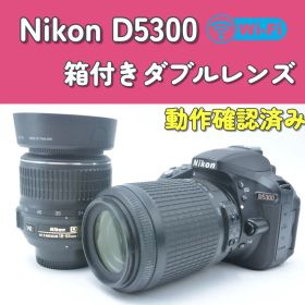 【満足のダブルレンズ】Nikon D5300 元箱付き Wi-Fi転送 人気機種