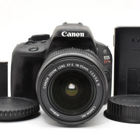 ★美品★ キヤノン CANON EOS Kiss X7 + EF-S 18-55mm F3.5-5.6 IS #2224