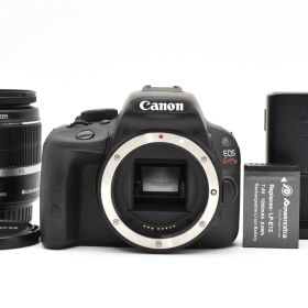 ★美品★ 《ショット数 10120回》 キヤノン CANON EOS Kiss X7 + EF-S 18-55mm F3.5-5.6 IS #2223