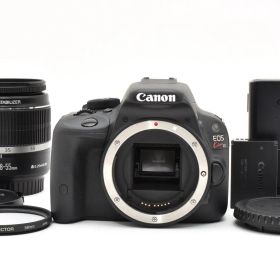 ★極上品★ 《ショット数 4843回》 キヤノン CANON EOS Kiss X7 + EF-S 18-55mm F3.5-5.6 IS #2222