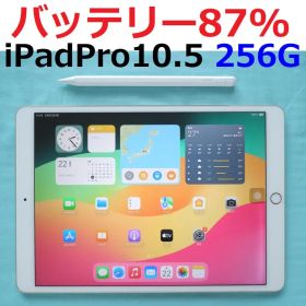 バッテリー87% iPad Pro 10.5インチ 256GB ペン付き