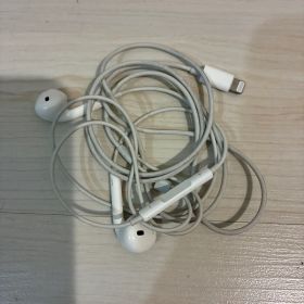 Apple EarPods with Lightning Connector