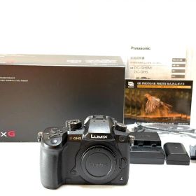 【ほぼ新品 S数:72回】 Panasonic LUMIX G DC-GH5