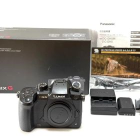 【ほぼ新品 S数:49回】 Panasonic LUMIX G DC-GH5
