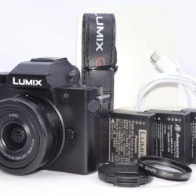 Panasonic 小型・軽量ミラーレス一眼カメラ ルミックス 標準ズームレンズキット ブラック DC-G100DK-K