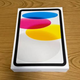 【美品】Apple iPad 10世代 256GB セルラーモデル シルバー