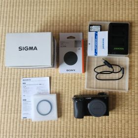 Sony α6100 + Sigma 30mm F1.4 DC DN
