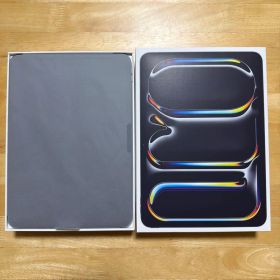 【超美品】iPad Pro M5 11インチ AppleCare+付き