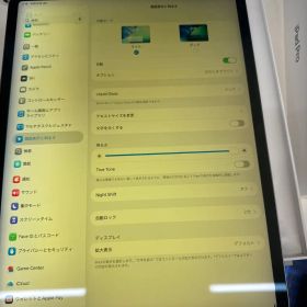 Apple iPad Pro 12.9インチ 第3世代 256GB 本体