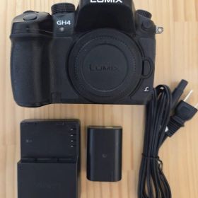 パナソニック LUMIX ルミックス DMC-GH4 シャッター 約158回