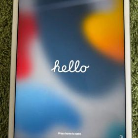 Apple iPad mini 4 128GB本体 シルバー美品