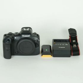 [並品 | シャッター数179,620回] Canon EOS R6 [ボディ] | Canon RFマウント