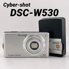 実写良⭕️【動作確認済】SONY Cyber-Shot DSC-W530 シルバー