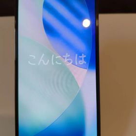 Apple iPhone 13 Pro Max本体