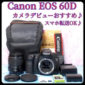 キャノン EOS 60D★初心者おすすめ★一眼レフカメラ★スマホ転送OK