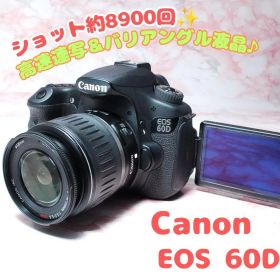 Canon EOS 60D 良品 自撮り可能 高性能 中級機 一眼レフ