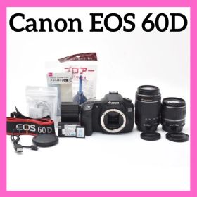 高速連写機能✨Canon EOS 60D✨ダブルレンズ✨バイアングルモニター