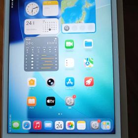 iPad mini 第5世代 Wi-Fi+Cellular 256GB ゴールド