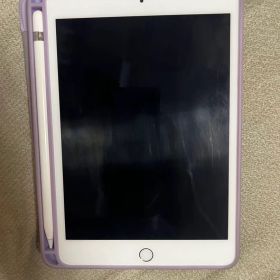 ipad mini5 cellular 256g pencil カバー付き美品