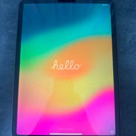 Apple iPad pro 11インチ 256gb スペースグレー 本体