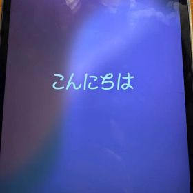 iPad pro 11 本体