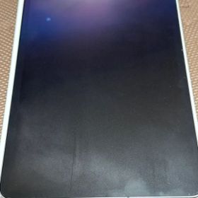 iPadPro11インチ第一世代256GB SIMフリー