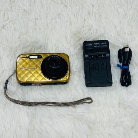 CASIO EXILIM 本体 ゴールド コンデジ カメラ EX-N10