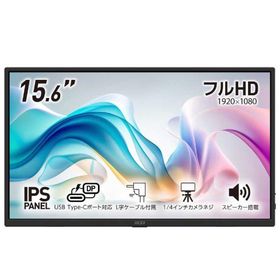 MSI 液晶ディスプレイ ［15.6型 / フルHD(1920×1080) / ワイド / 60Hz］ PRO MP165 E6