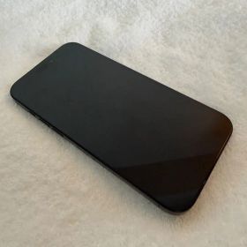 【SimFree】 iPhone 16promax 512GB