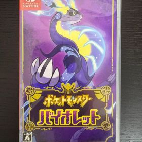 Nintendo Switch ポケットモンスター バイオレット
